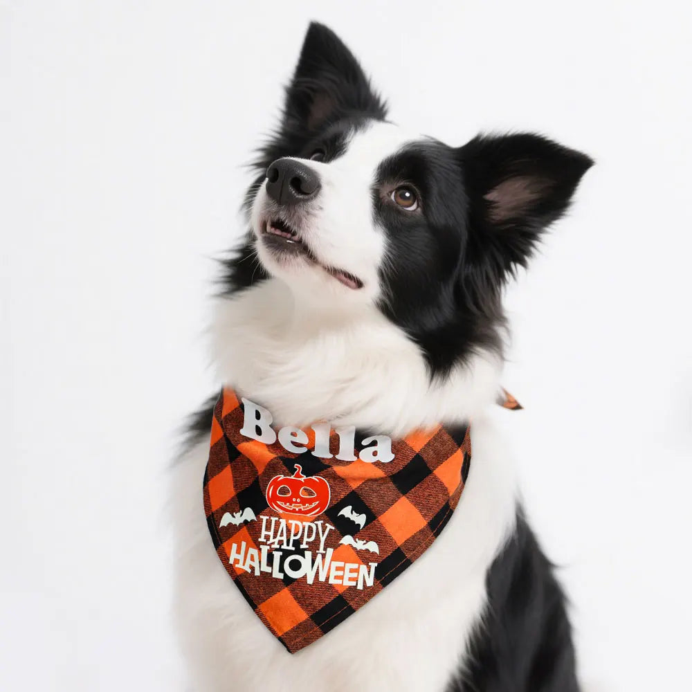 Personalized Dog Halloween Bandana – Reflective Pet Scarf for Night Parties & Safety