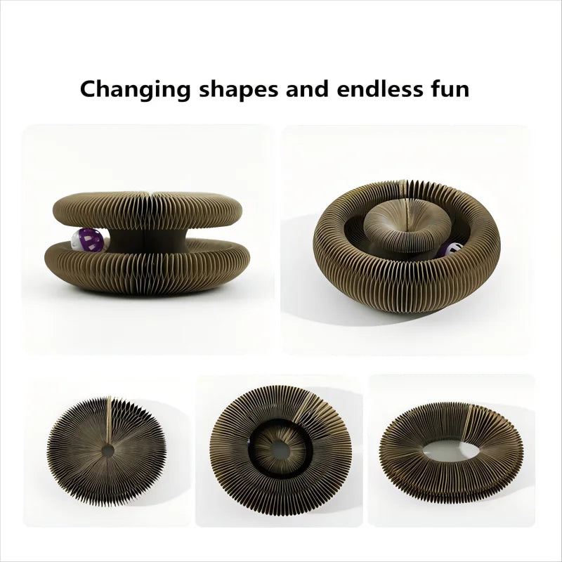 Kitten Curl Toy – Foldable Magic Cat Scratcher & Interactive Bed