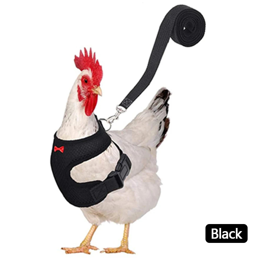 Chicken & Duck Vest Harness – Breathable Mesh Pet Belt with Bow, Collar & Leash