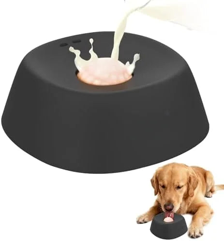 Anti-Choking Slow Feeder Dog Bowl – Non-Slip 3/4 Cup for Treats