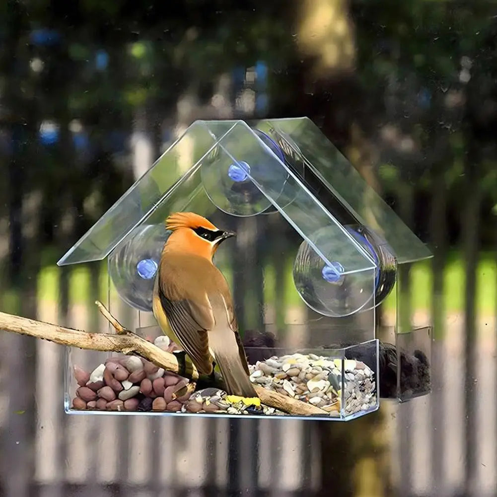 Outdoor Window Bird Feeder – Transparent Suction Cup Feeder for Garden & Balcony