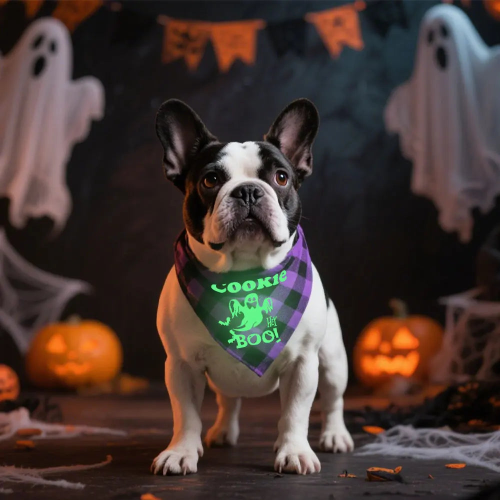Personalized Dog Halloween Bandana – Reflective Pet Scarf for Night Parties & Safety