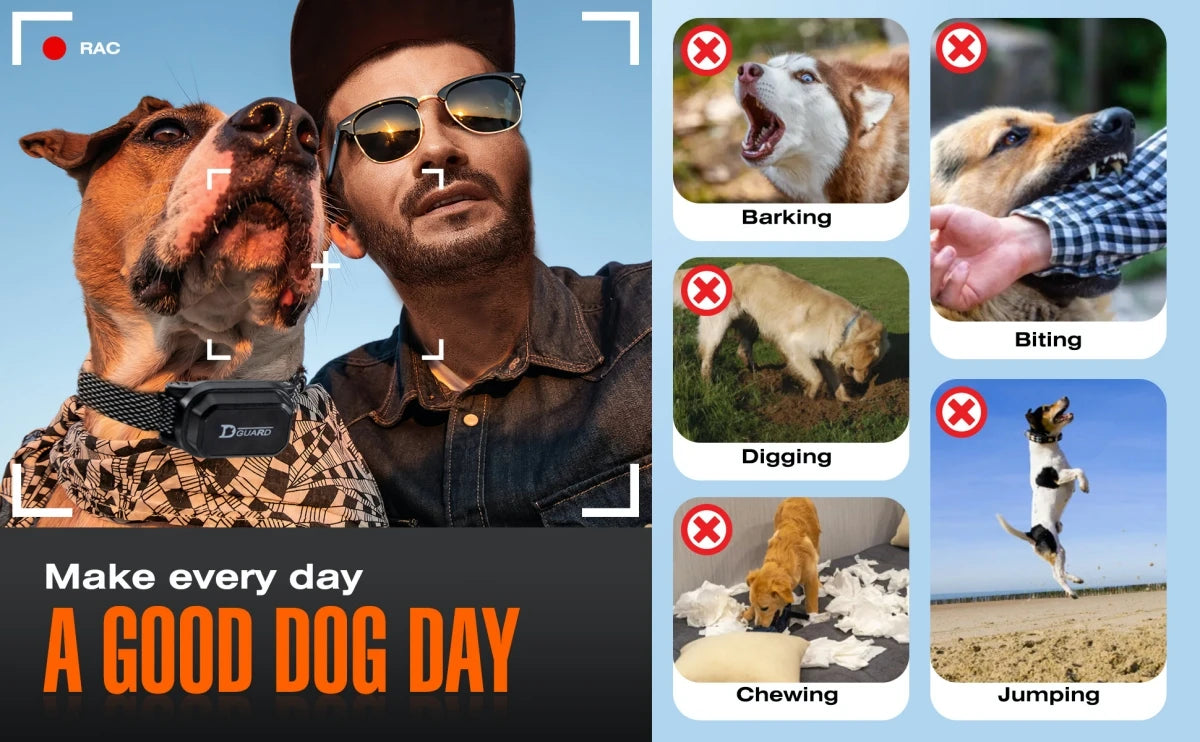 Remote Dog Training Collar – 800m, Waterproof, Rechargeable, Shock & Vibration for All Sizes