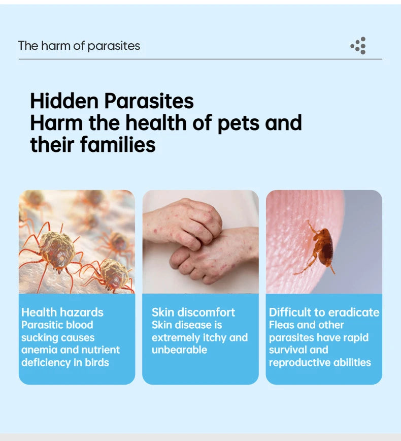 Parrot & Bird Insect Spray – Sterilization, Lice & Mite Control for Pet Birds