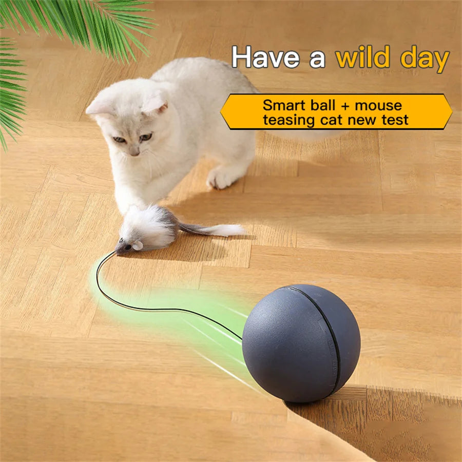 Battery-Operated Interactive Cat Toy – Rolling Ball with Tracking Mouse