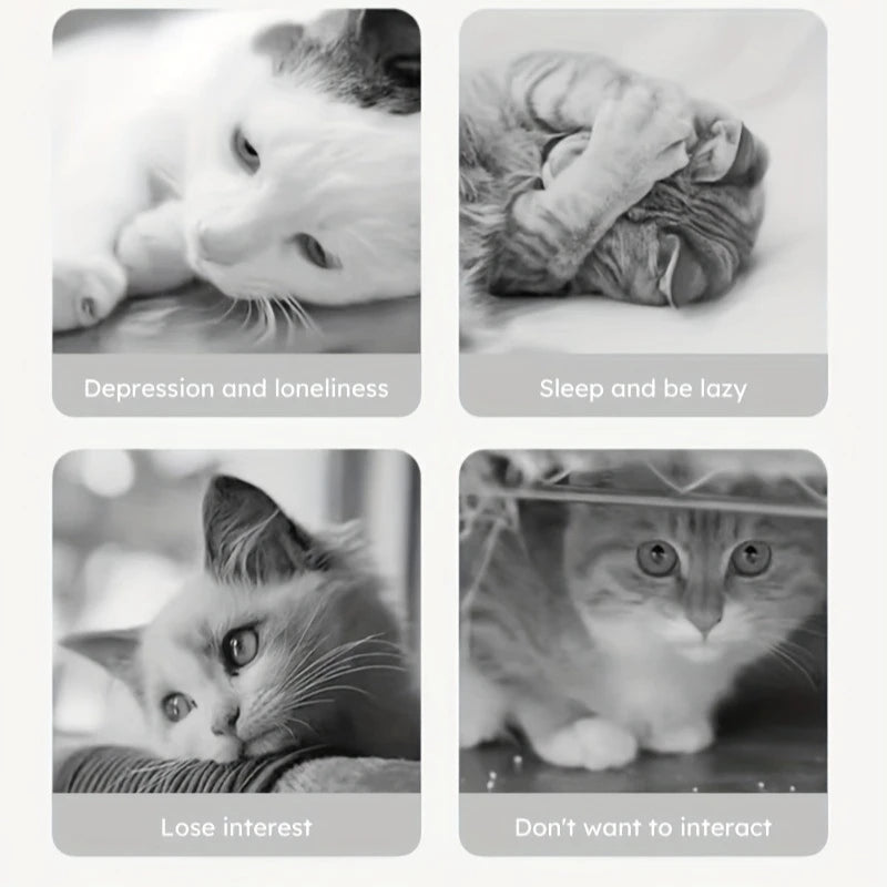 Small Pet Interactive Toy – Durable, Bite-Resistant & Treat Hiding