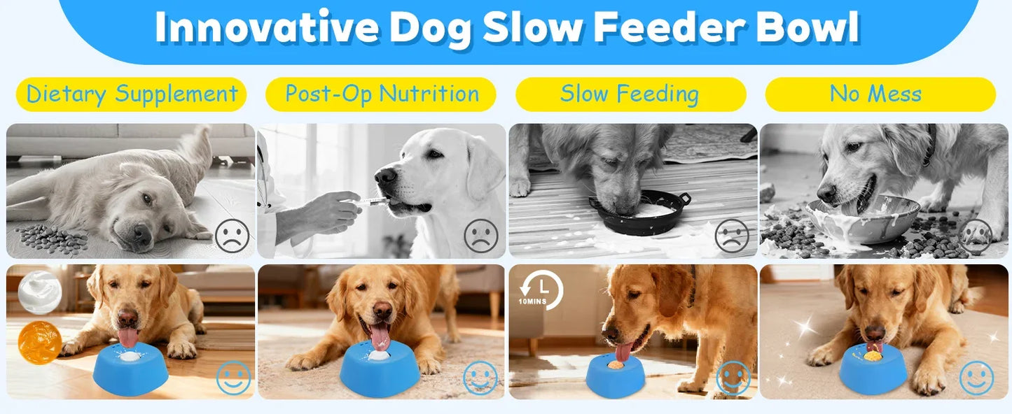 Anti-Choking Slow Feeder Dog Bowl – Non-Slip 3/4 Cup for Treats