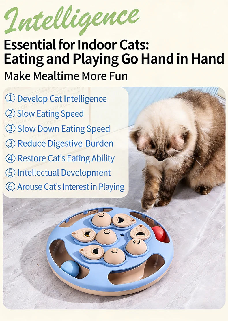 Interactive Cat Toy – Slow Feeder Turntable for Indoor Cats & Mental Stimulation