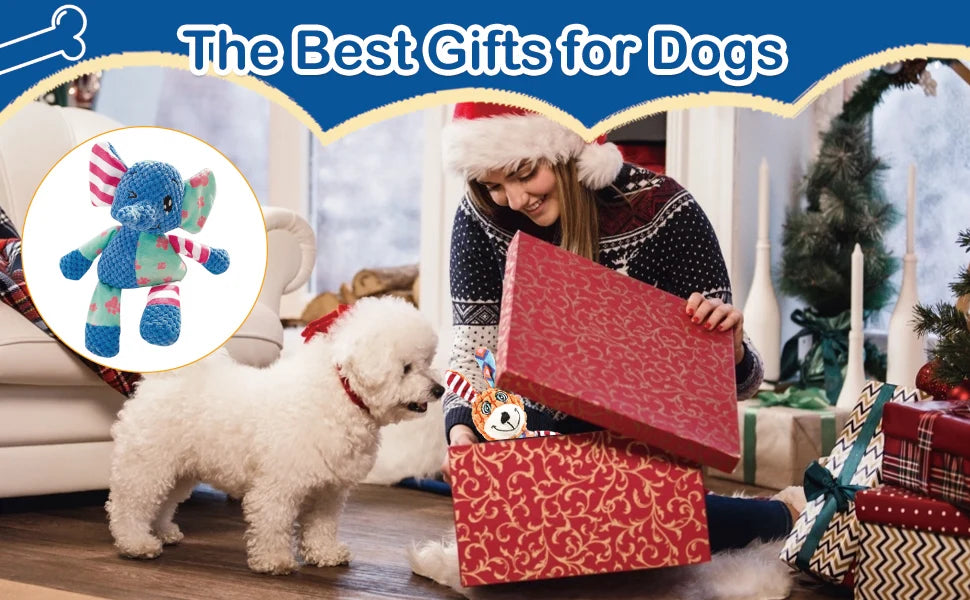 Interactive Dog Toy – Squeak & Rope, Teething & Heavy Chewers