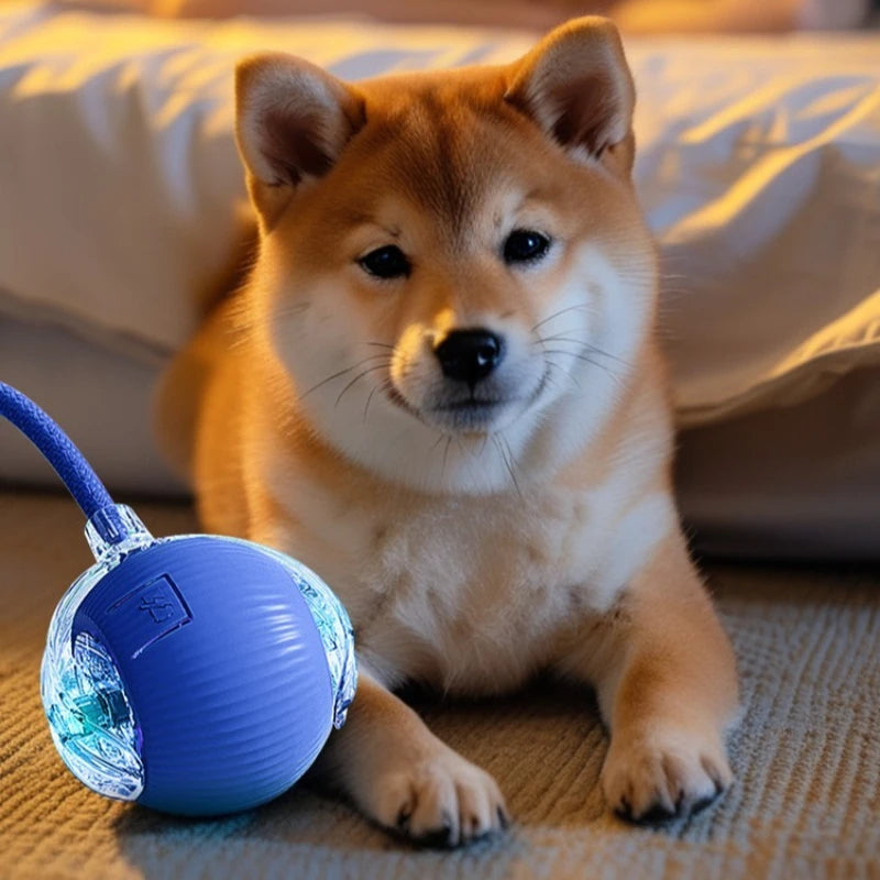 Automatic Cat Toy Ball – Silicone Rolling & Teasing Smart Kitten Toy