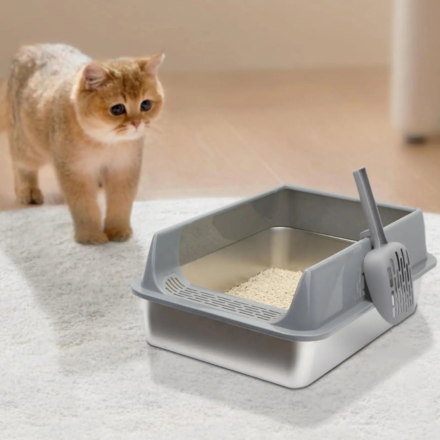 Stainless Steel High-Sided Cat Litter Box with Lid & Scoop