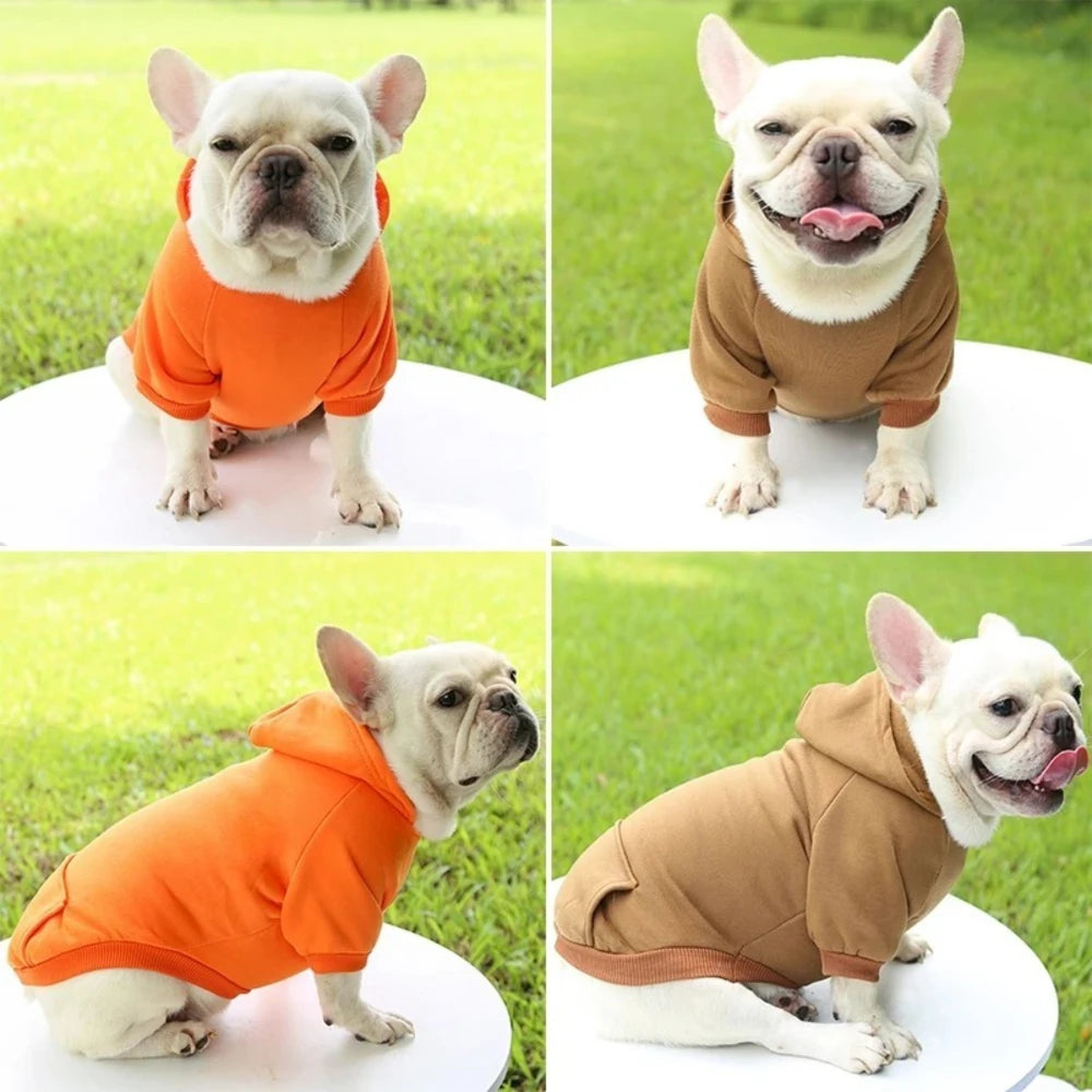 Dog Halloween Hooded Sweatshirt