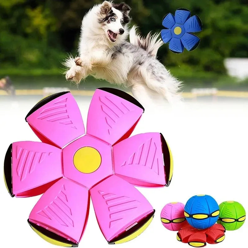 Interactive UFO Ball – Magic Dog Toy for Outdoor Training & Play