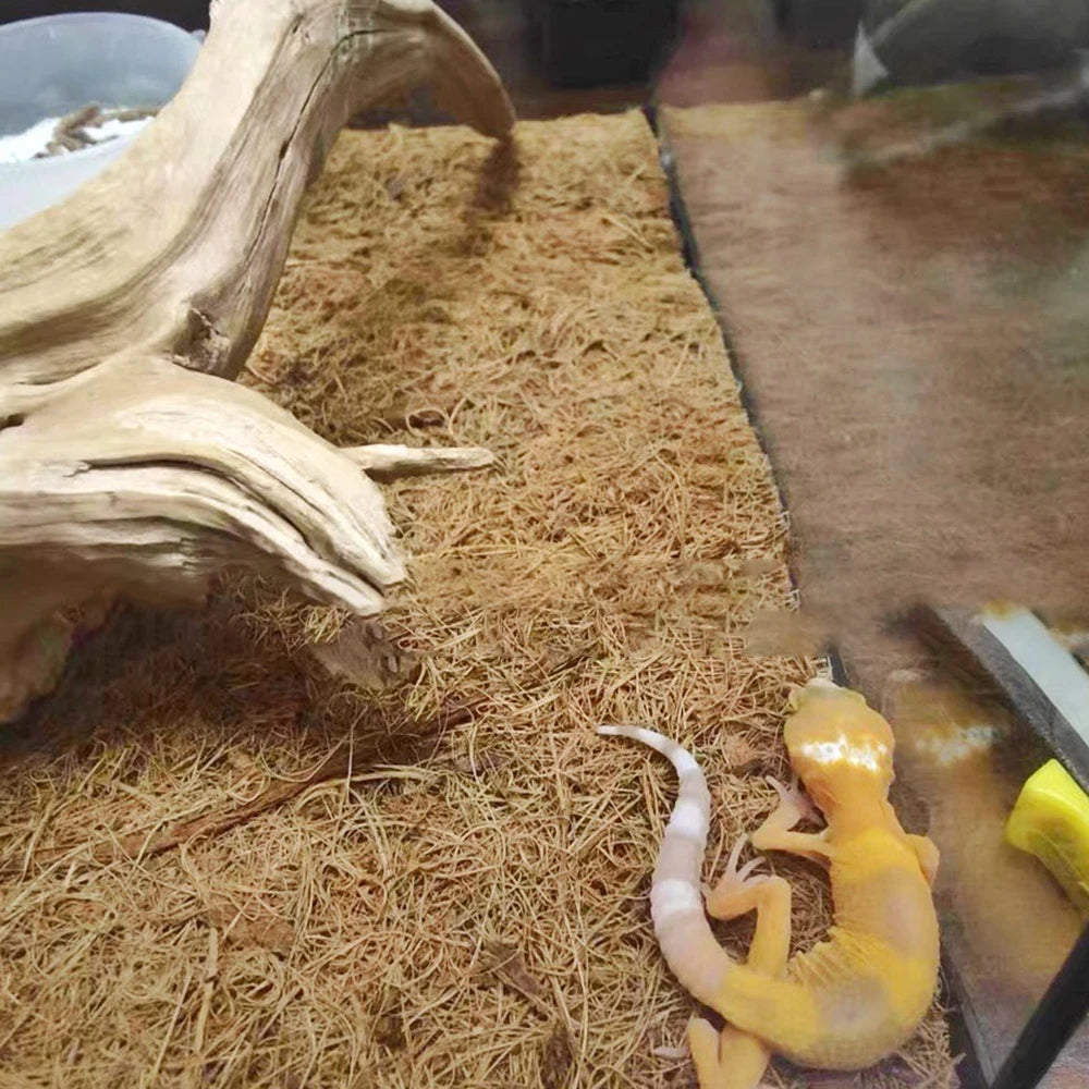 Coconut Fiber Terrarium Liner – Natural Coir Mat for Turtles, Tortoises, Lizards & Snakes