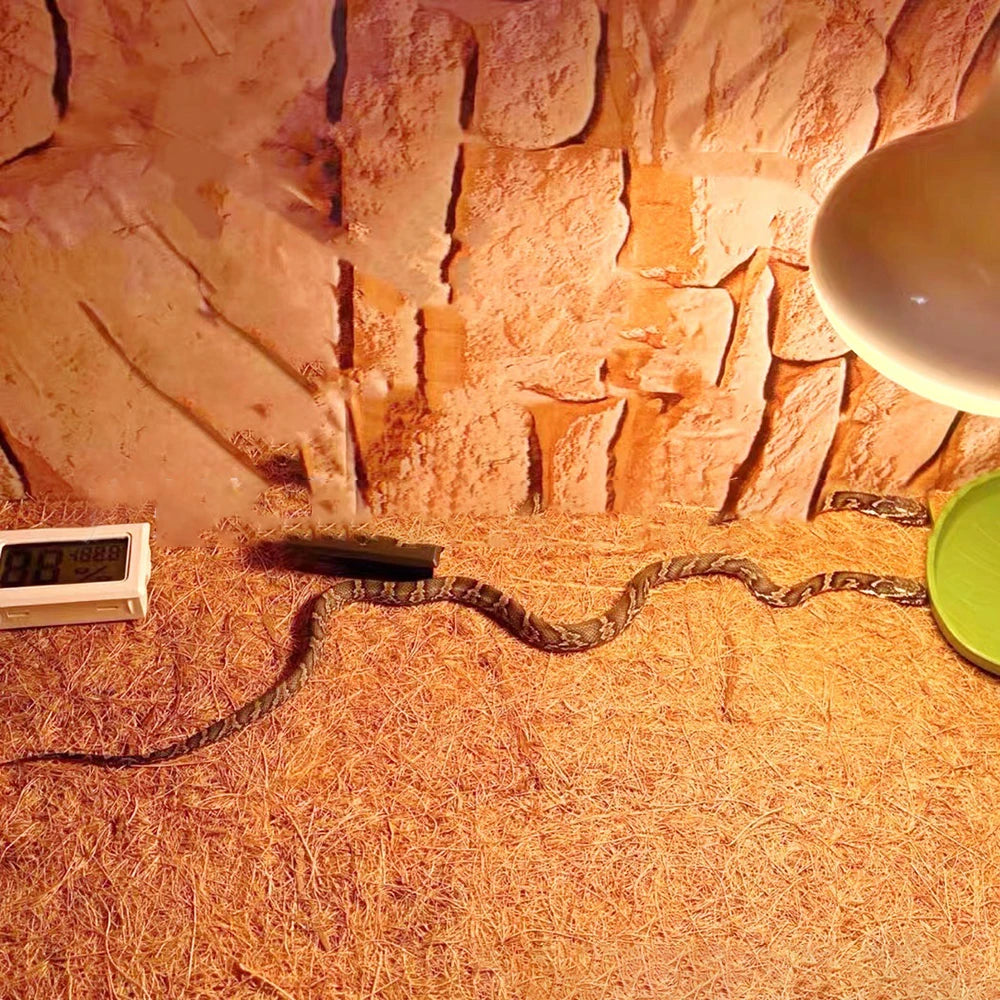 Coconut Fiber Terrarium Liner – Natural Coir Mat for Turtles, Lizards & Snakes