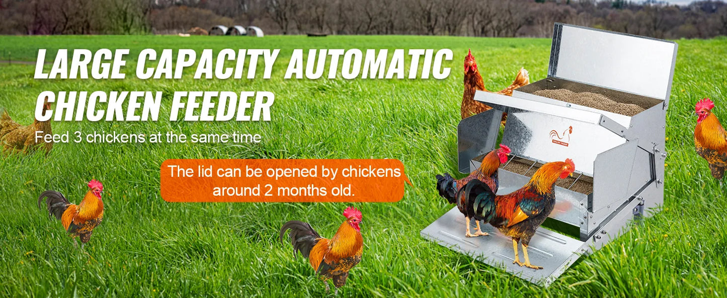 Automatic Chicken Feeder 25 lb Capacity – Galvanized Steel Poultry Feeder for Up to 10 Chickens