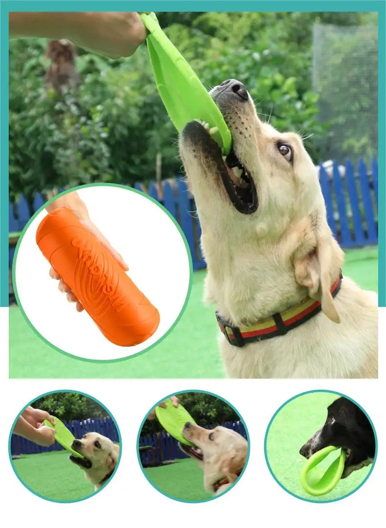 Durable Bite-Resistant Dog Flying Disc – Outdoor Interactive Training Toy