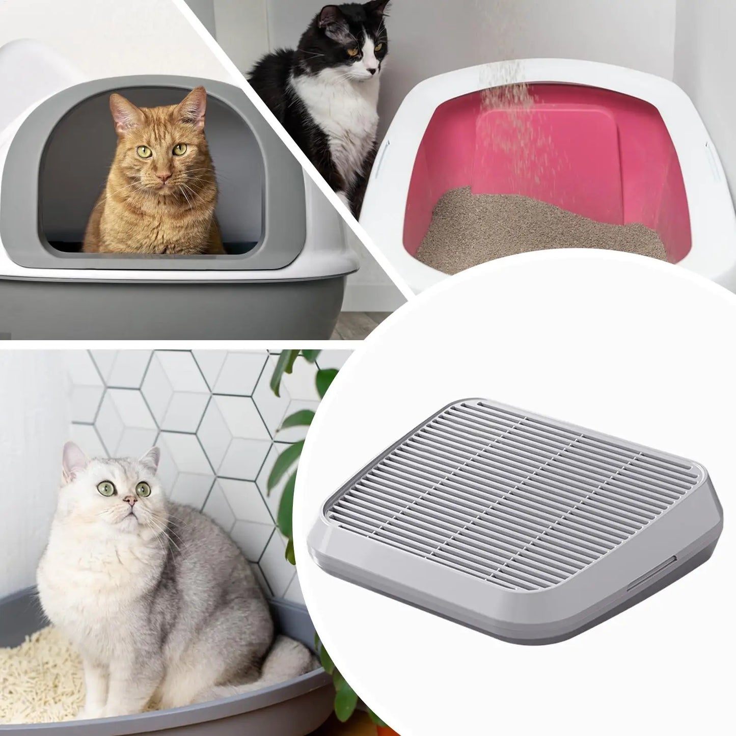 Double-Layer Cat Litter Ramp – Paw Cleaner with Filter