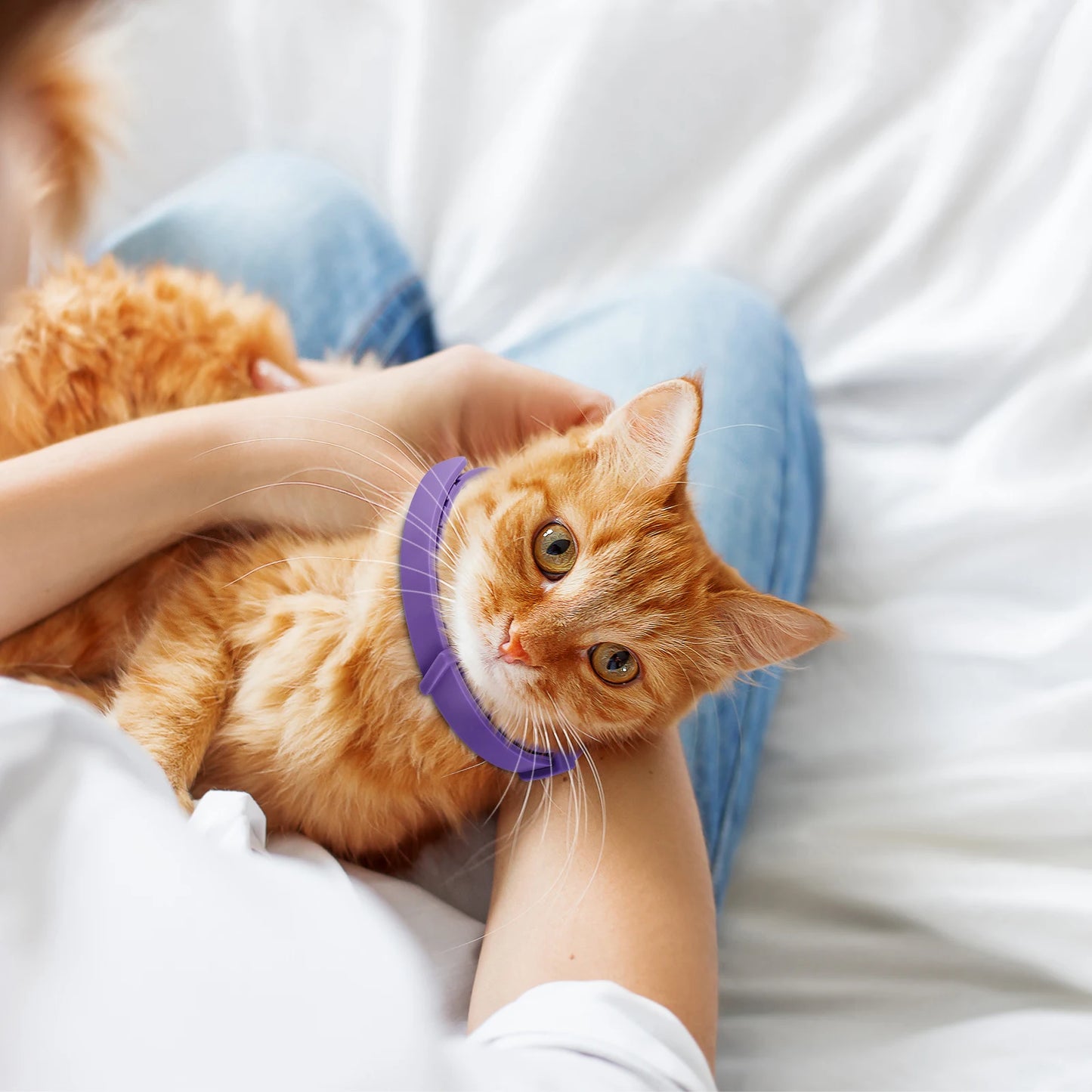 Pet Calming Collar for Cats & Dogs – Adjustable Pheromone Anxiety Relief, Natural Soothing & Relaxing