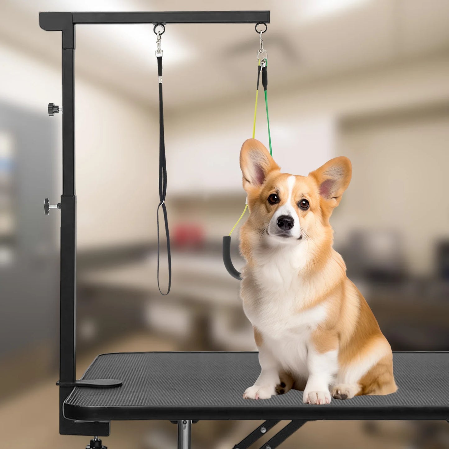 Adjustable Dog Grooming Table – Pet Beauty Stand with Clamp for Haircut & Nail Clipping