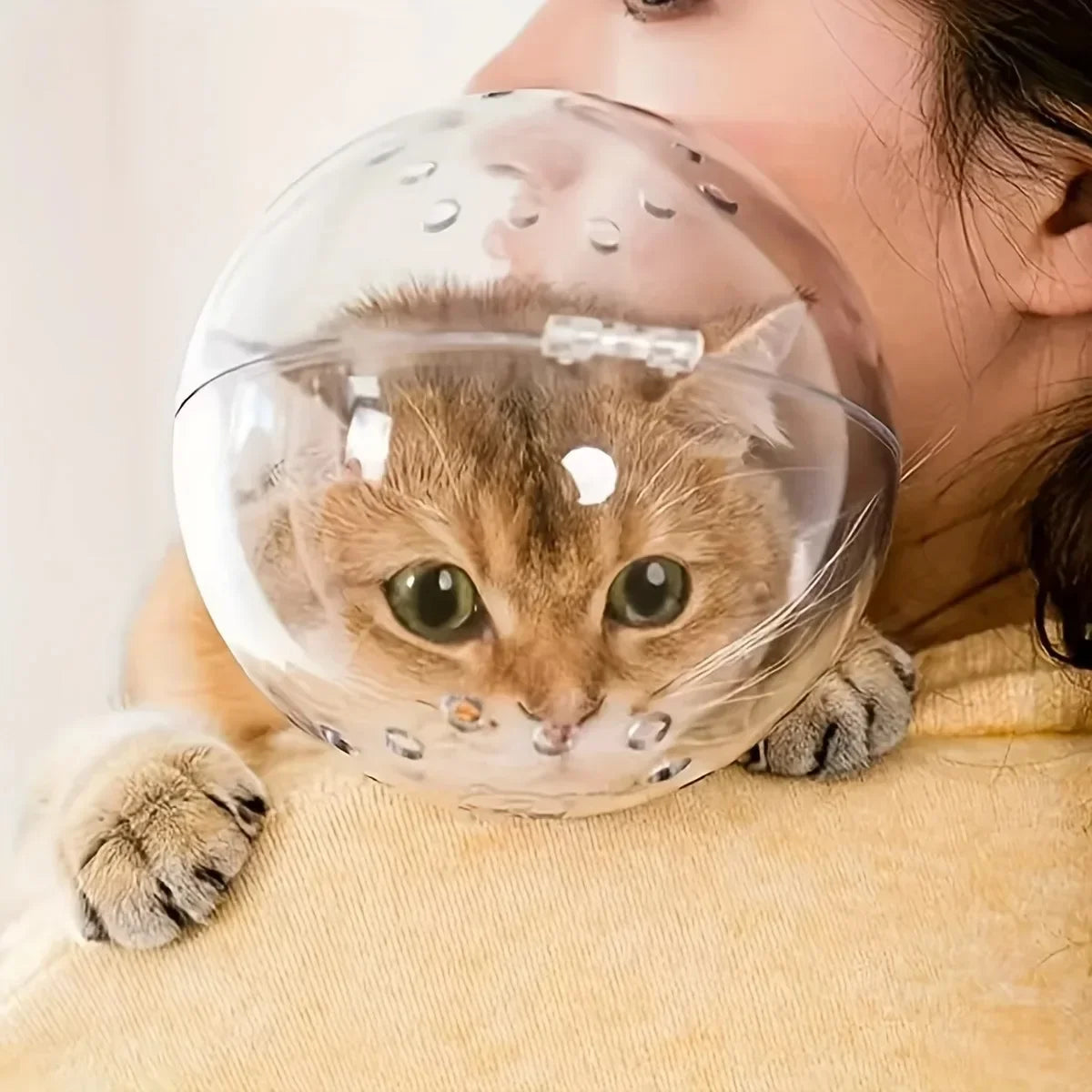 Cat Head Protection Mask – Breathable Safety Helmet for Grooming & Bathing