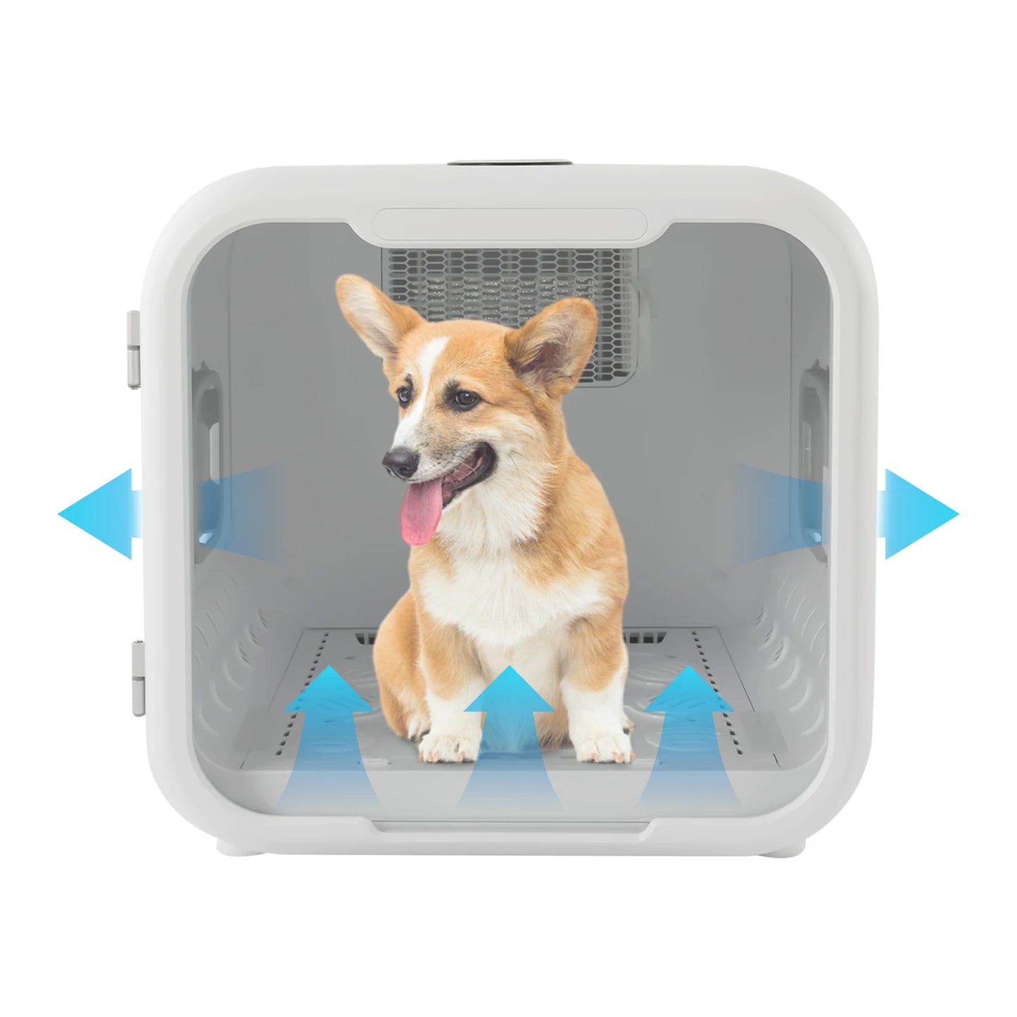 800W Pet Grooming Dryer Box – Fast Hair Drying, Sanitizing & Sterilizing System for 2–3 Cats & small dogs