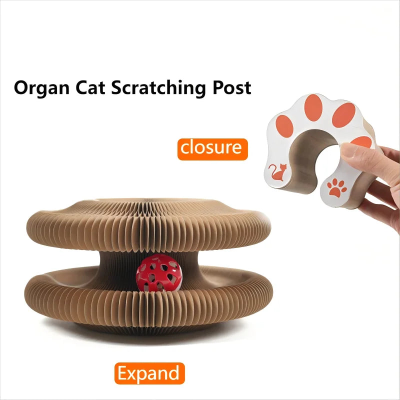 Kitten Curl Toy – Foldable Magic Cat Scratcher & Interactive Bed