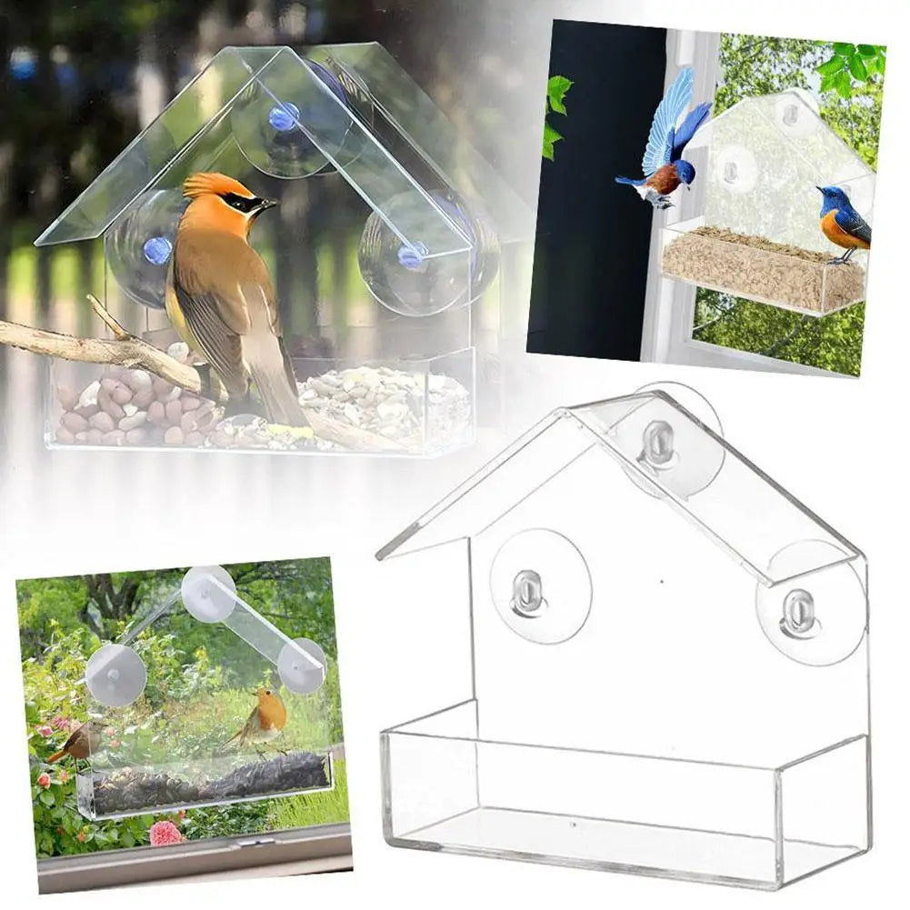 Outdoor Window Bird Feeder – Transparent Suction Cup Feeder for Garden & Balcony