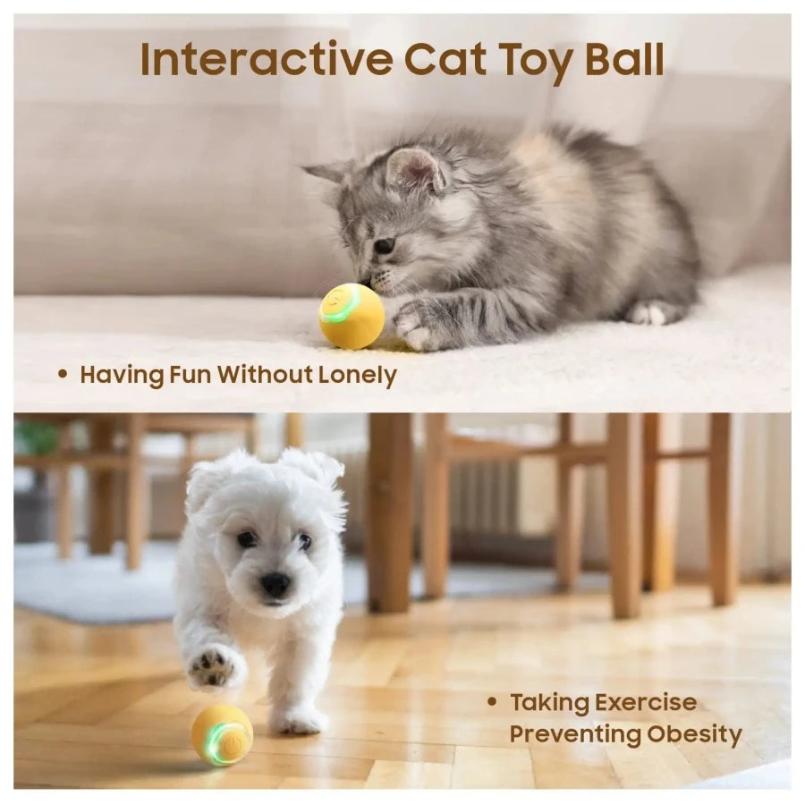Automatic Rolling Cat Ball – Smart Self-Moving Kitten Toy