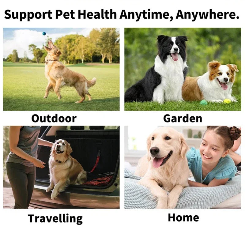 Pet Eye Wipes – Tear Stain Removal & Cleaning Wet Tissues for Cats