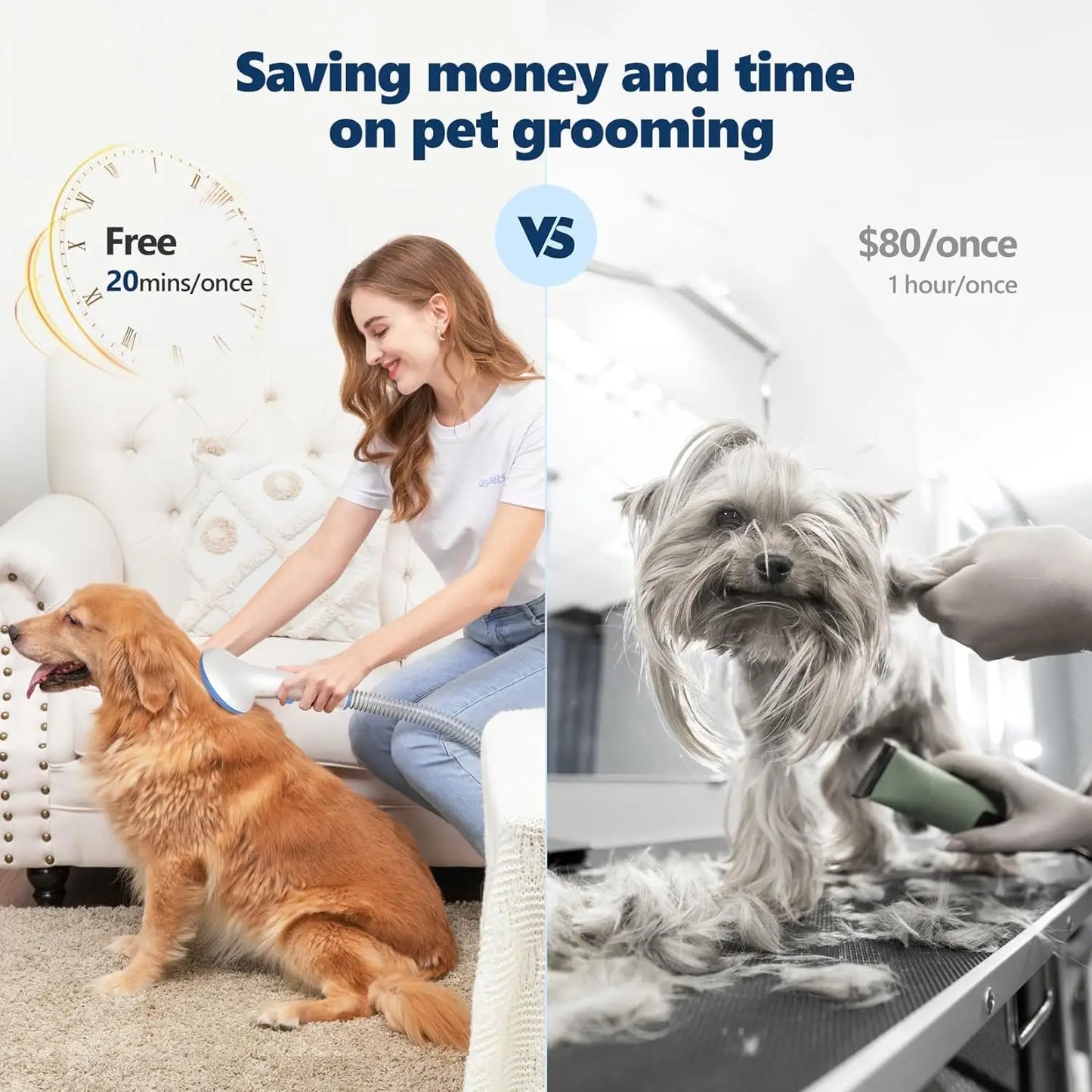 5-in-1 Pet Grooming Vacuum Kit – 2L Dust Cup Hair Remover for Dogs & Cats