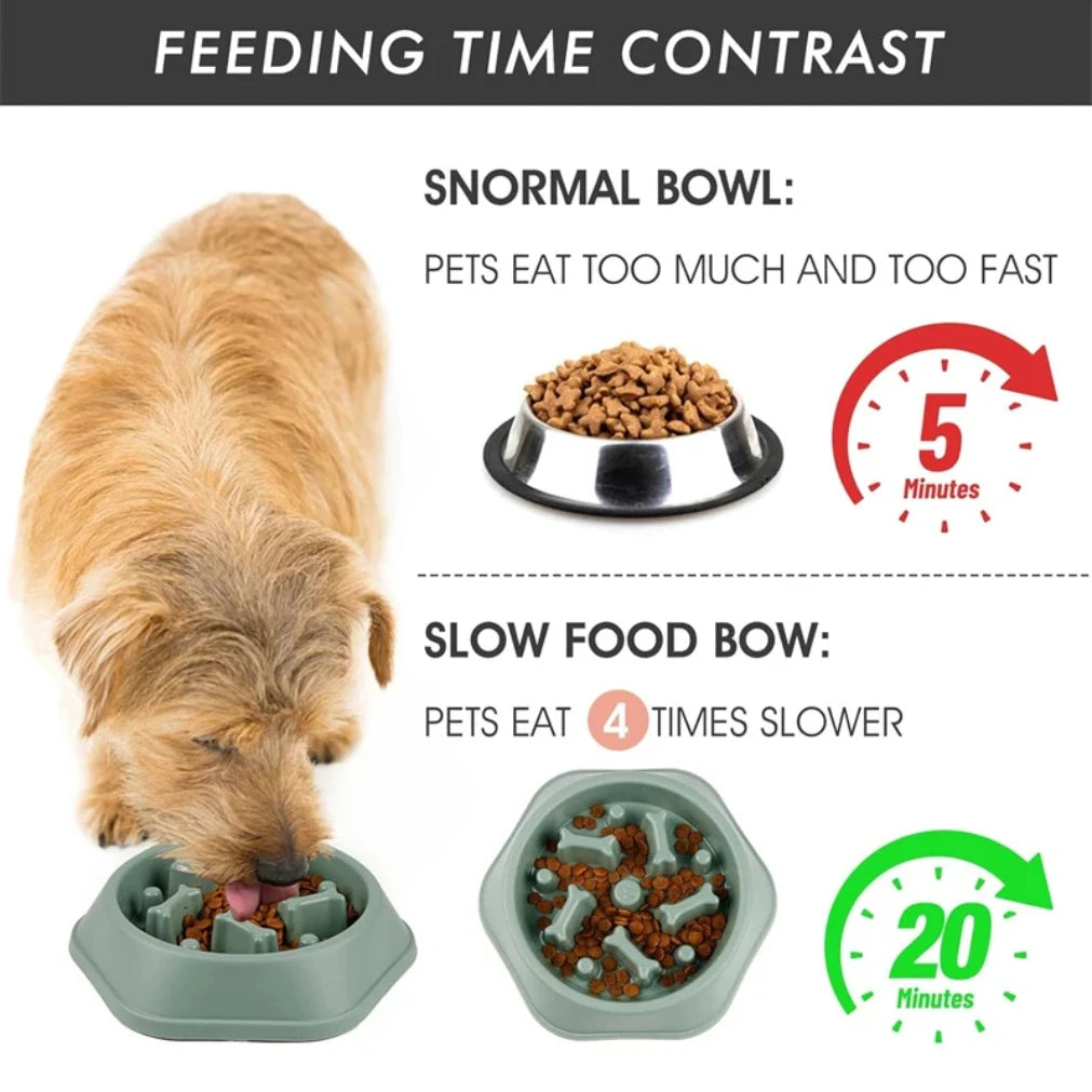 "Slow Feeder Dog Bowl – Anti-Choke, Non-Slip Puzzle Design"