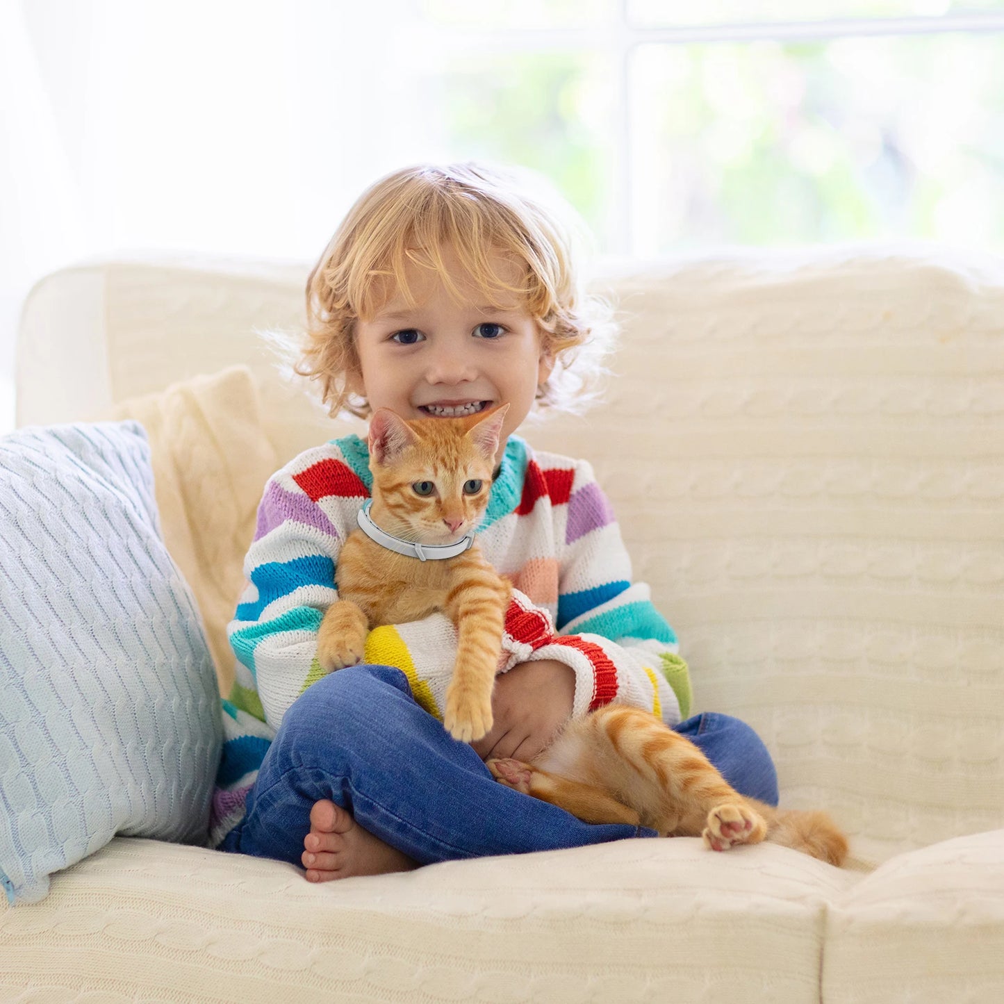 Natural Calming Pet Collar – Long-Lasting Soothing & Relaxing for Cats & Dogs