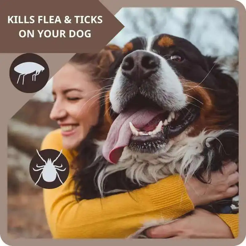 Pet Flea & Tick Repellent Drops – Kill Fleas, Ticks & Mites, Safe for Cats & Dogs