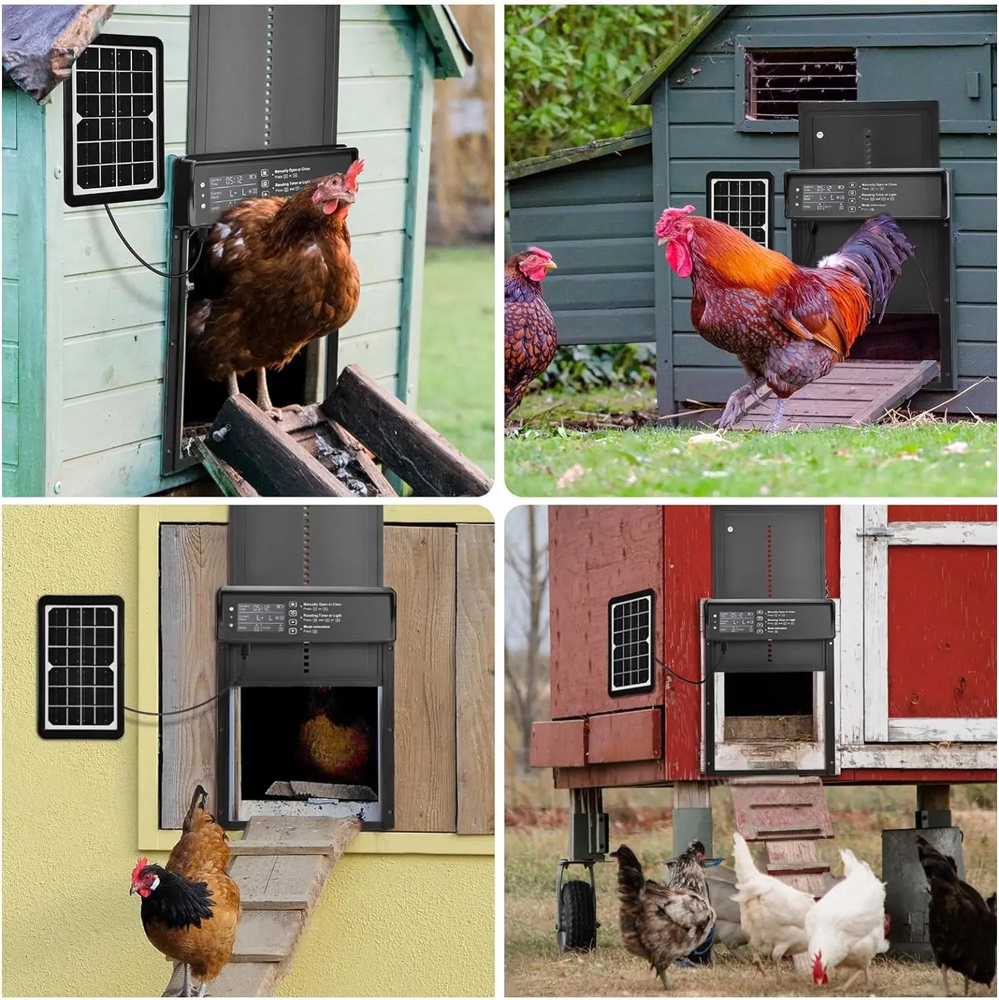 Solar Automatic Chicken Coop Door – Solar & USB Powered with Timer & Light Sensor