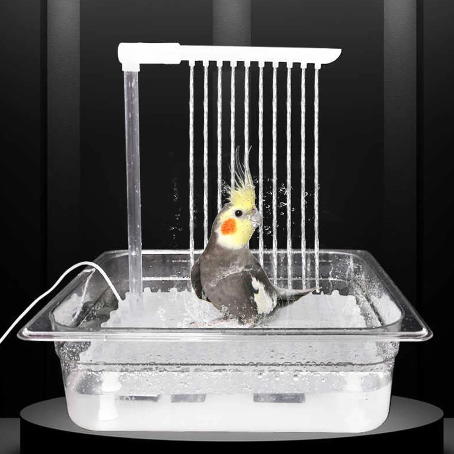 Automatic Parrot Bird Bath – Circulating Water Shower for Cages