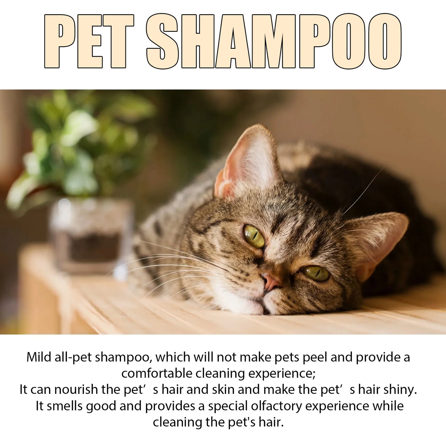 Pet Wash Dog Shampoo – Hair Softening, Flea & Mite Removal, Deodorizing & Anti-Itch Care