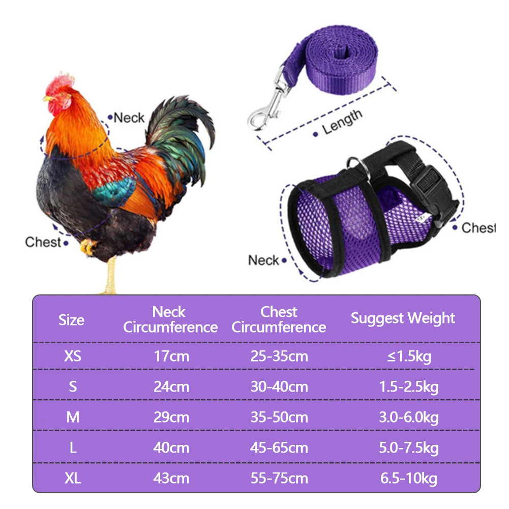 Chicken & Duck Vest Harness – Breathable Mesh Pet Belt with Bow, Collar & Leash