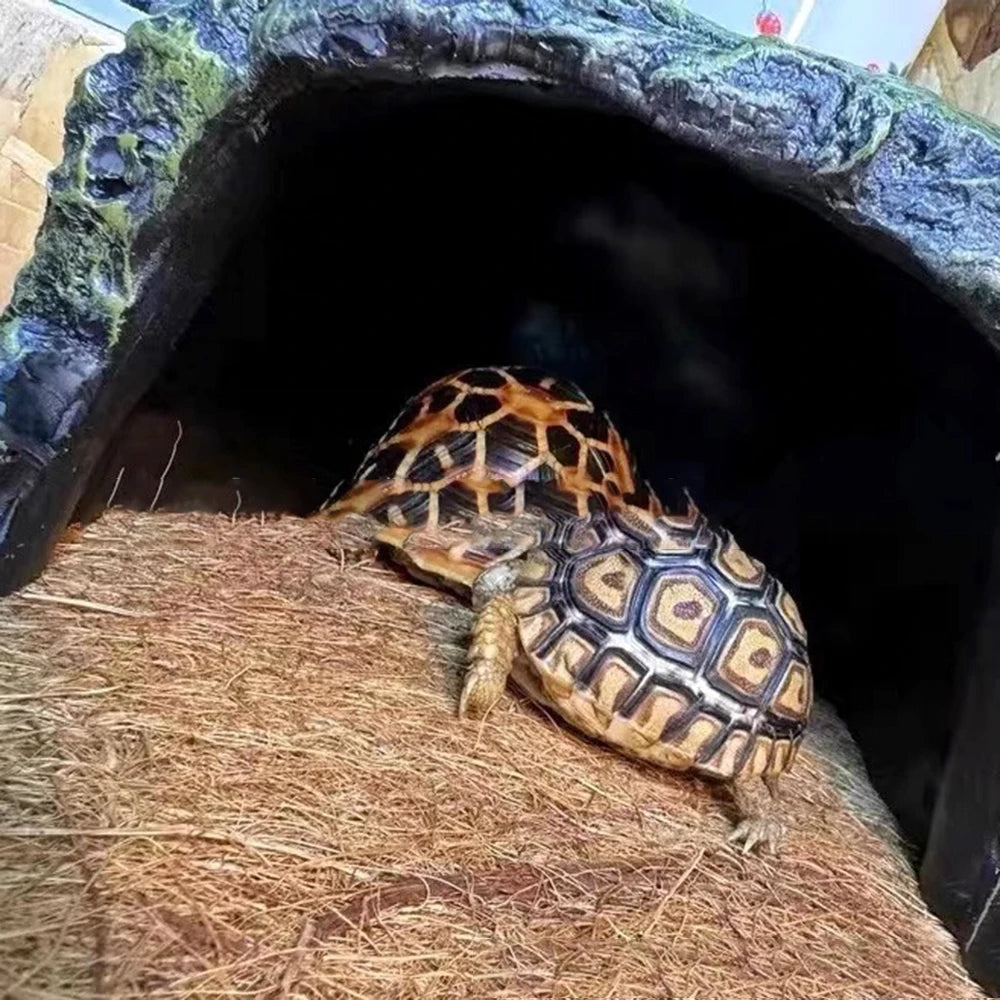 Coconut Fiber Terrarium Liner – Natural Coir Mat for Turtles, Lizards & Snakes