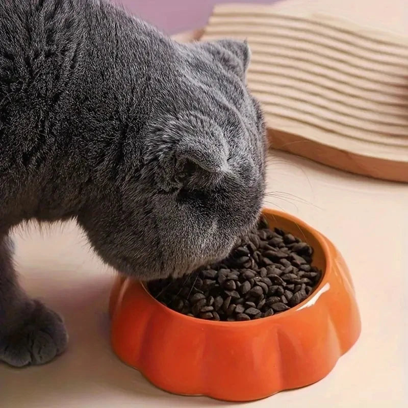 "Ceramic Pet Bowl – Cute Fruit Shapes for Cats & Small Dogs"