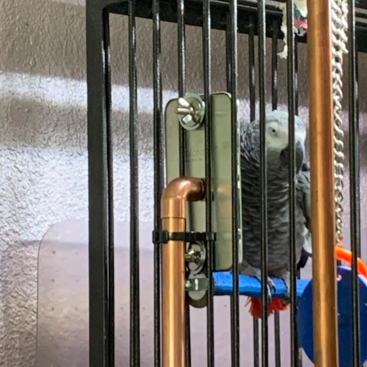 Bird Cage Heater Perch – Stainless Steel Parrot Warmer with Thermostat for Bird Cages