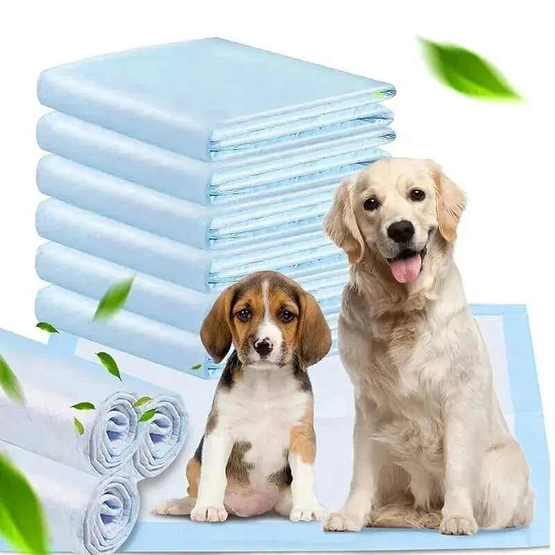 Super Absorbent Quick-Dry Pet Pee Pads – Disposable & Deodorizing