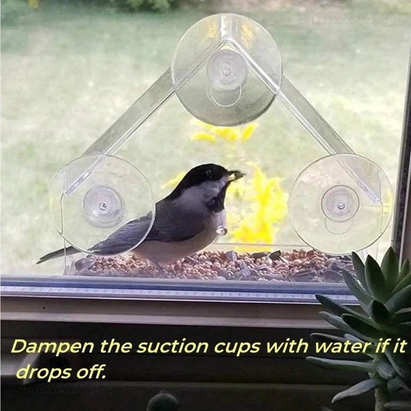Acrylic Window Bird Feeder – Clear Hanging Feeder with Suction Cup for Outdoor Garden