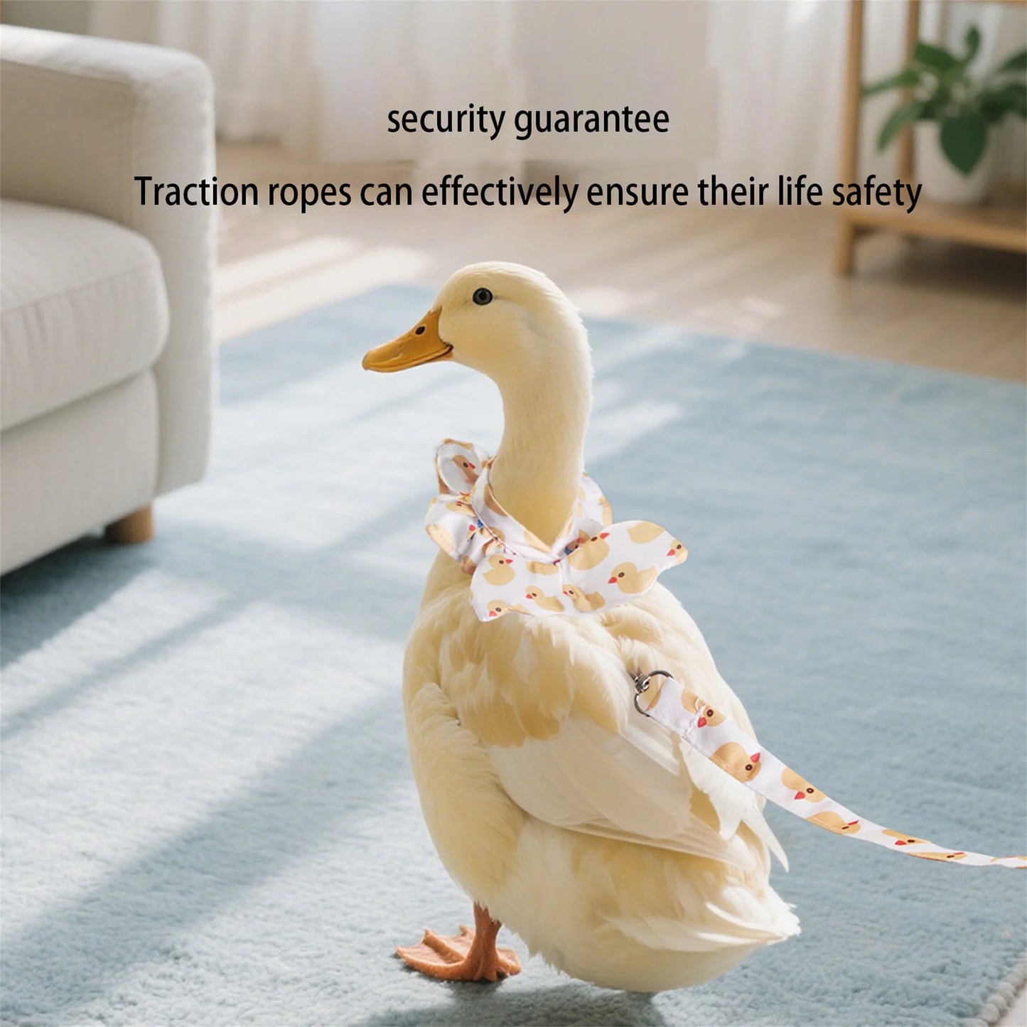 Pet Goose, Chicken & Duck Harness with Diaper Set – 2 Pieces with Adjustable Leash