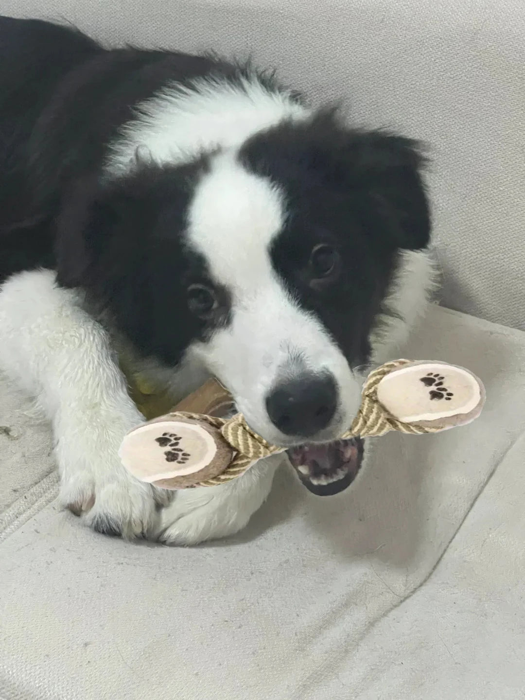 1 piece of indestructible teeth cleaning pet toy, dog chew durable toy, cat and dog teeth cleaning supplies