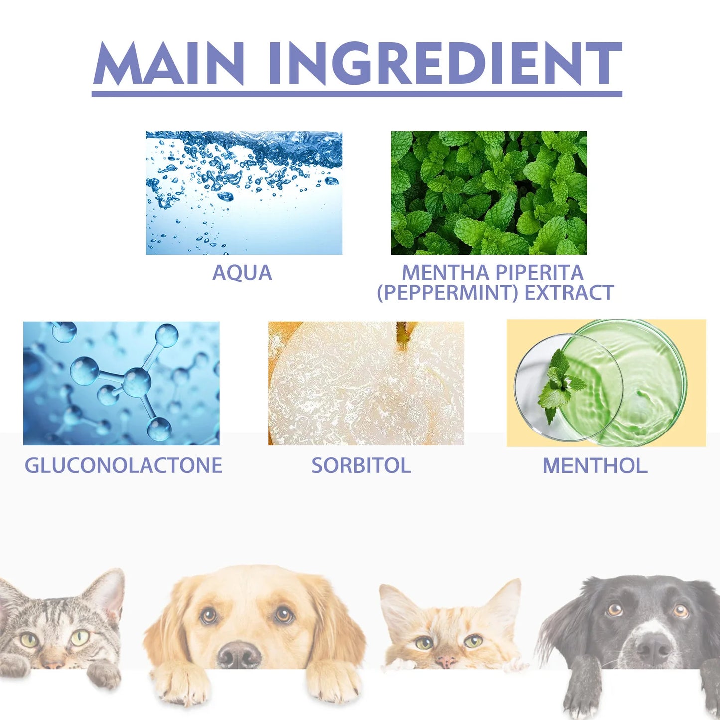 Pet Dental Spray for Dogs & Cats – Freshen Breath, Remove Plaque & Tartar, Easy Oral Care 30ml