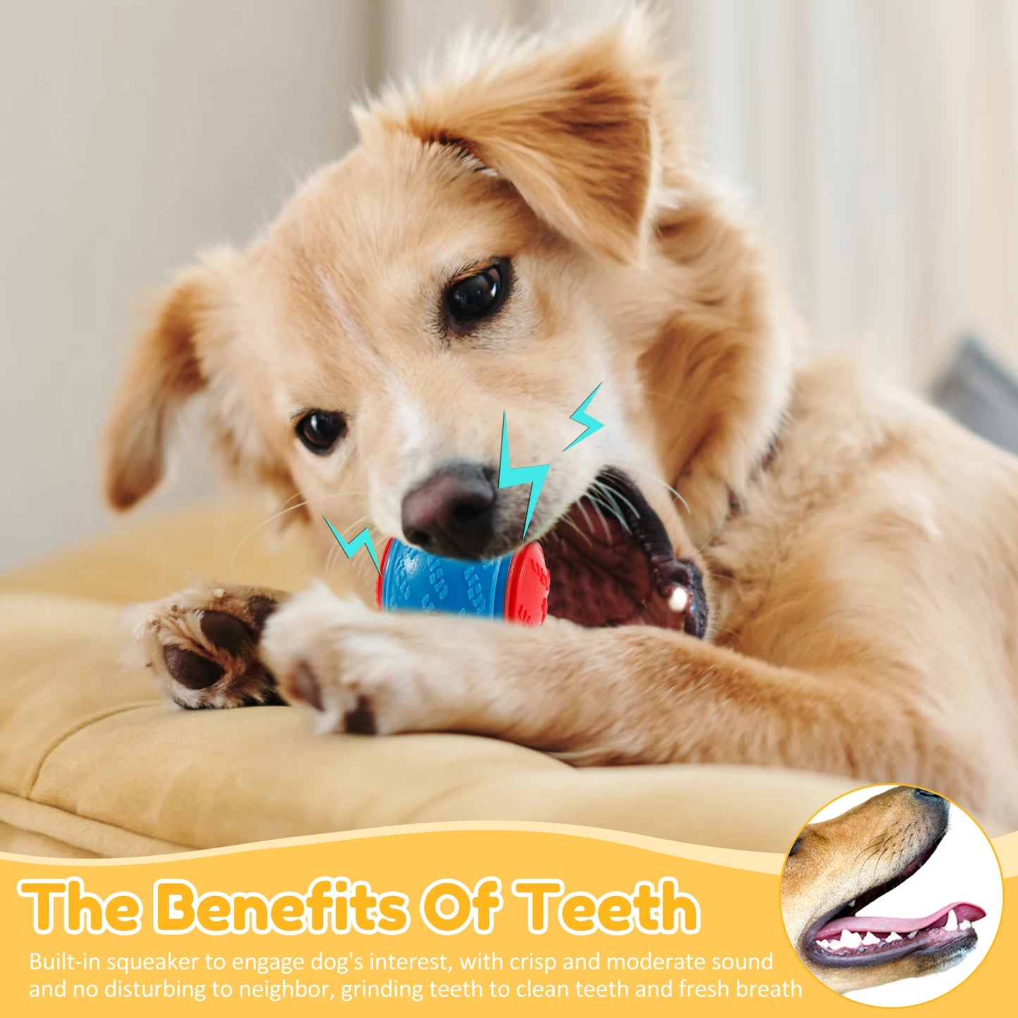 6PCS Interactive Dog Balls – Bite-Resistant Chew & Teeth Care