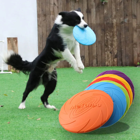 Durable Bite-Resistant Dog Flying Disc – Outdoor Interactive Training Toy