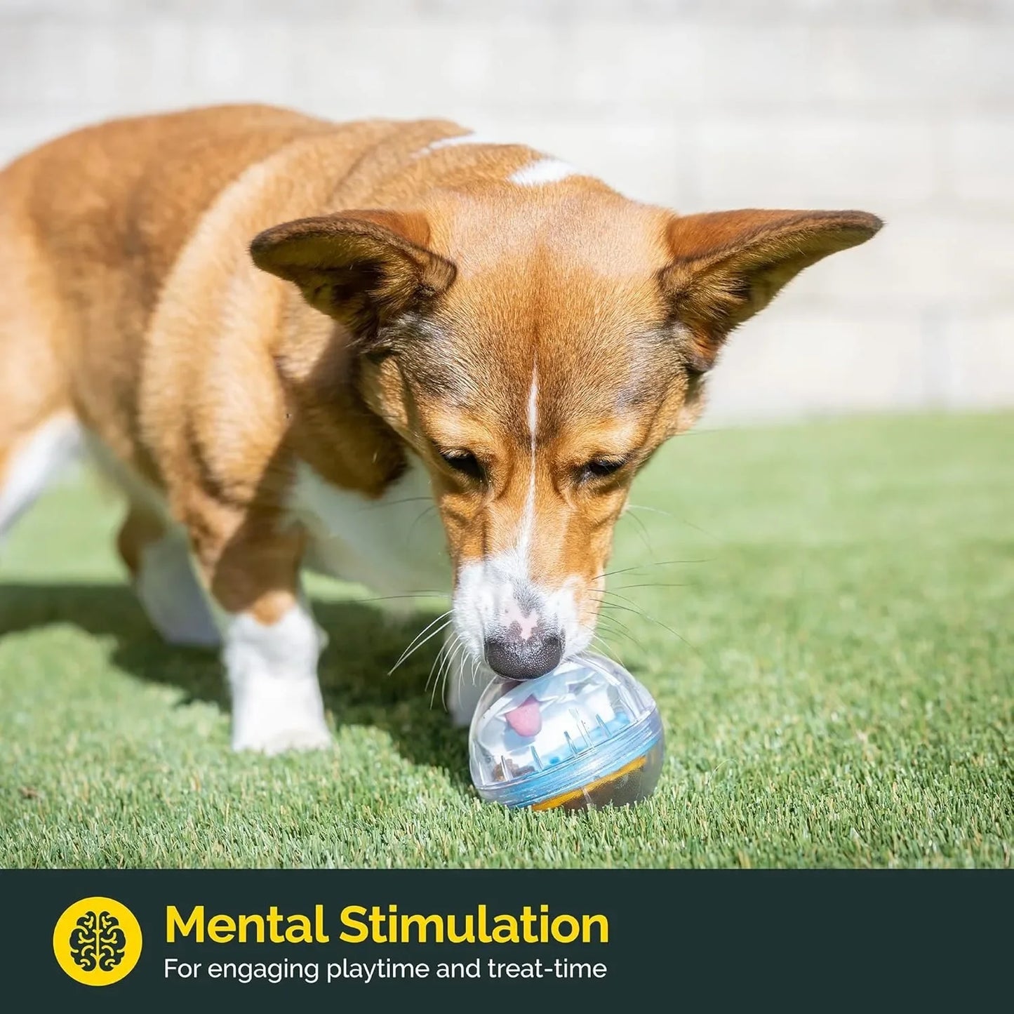 IQ Treat Ball – Interactive Slow Feeder & Treat Dispenser for Dogs & Cats