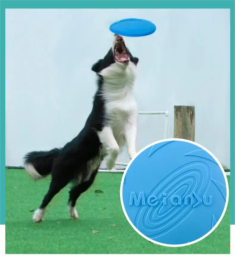 Durable Bite-Resistant Dog Flying Disc – Outdoor Interactive Training Toy